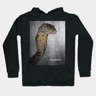 Snake Hoodie